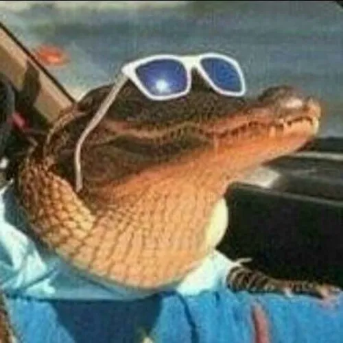 61 60