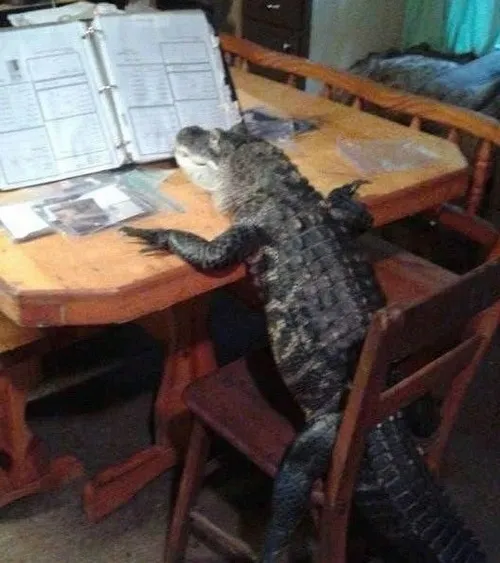 36 35