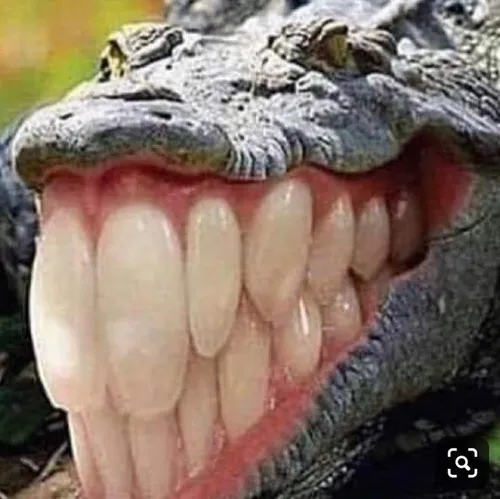 42 41