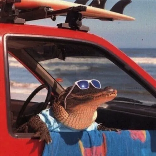 48 47