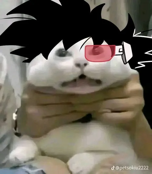 124 123