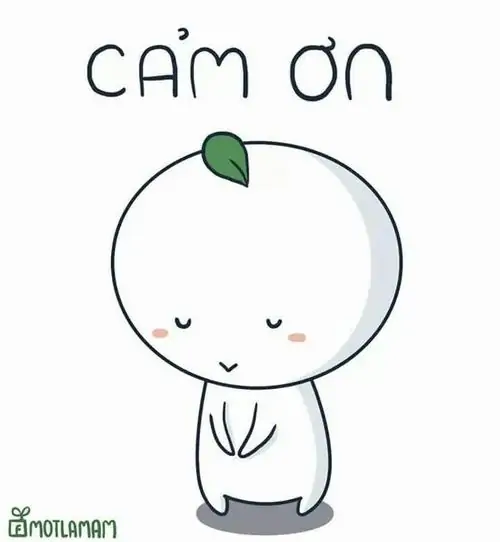 99 Ảnh Meme Cảm Ơn Dễ Thương Giúp Lời Biết Ơn Trở Nên Vui Nhộn Hơn