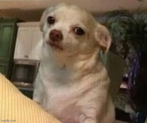 94 93