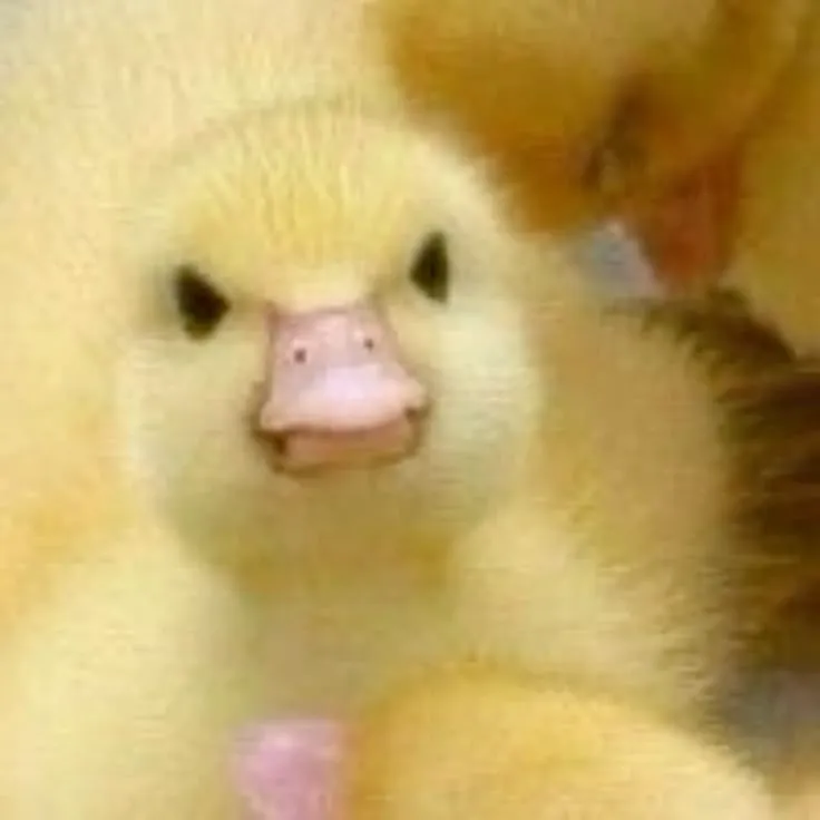 72 71