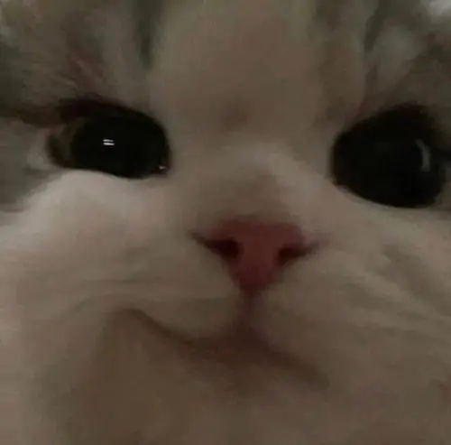 109 108