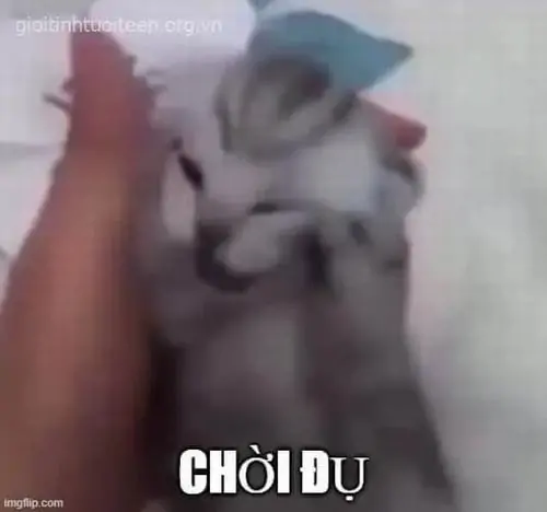 71 70