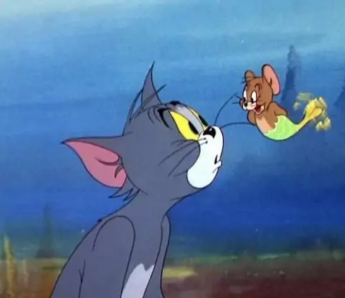 175 Ảnh Tom And Jerry Meme Kinh Điển Lúc Bị Cuộc Đời Quay Xe Quá Bất Ngờ