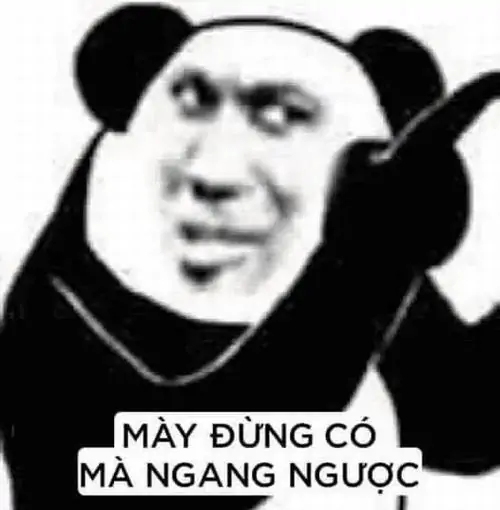 44 Meme hài gấu trúc đen trắng chỉ tay kèm dòng chữ “Mày đừng có mà ngang ngược”, tạo cảm giác mắng yêu rất rõ.