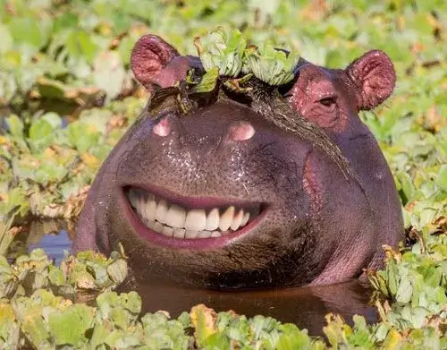 48 47