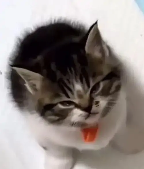 98 97