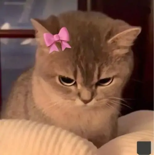 110 109