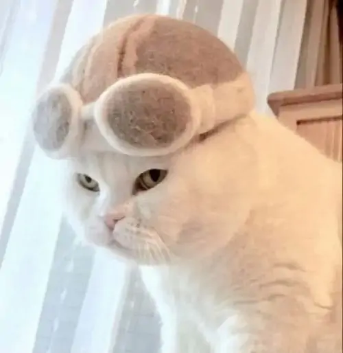 114 113