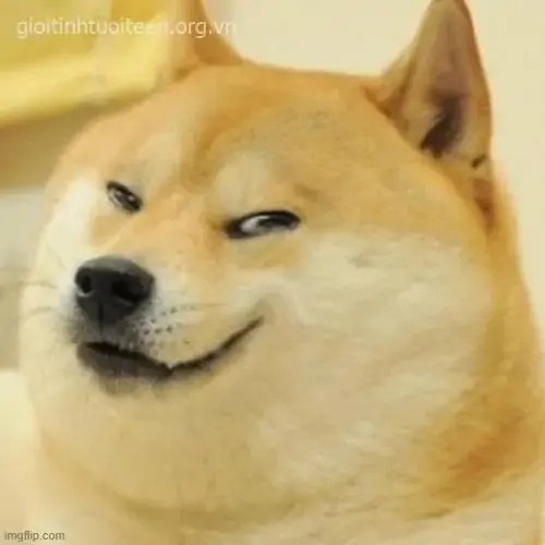 79 78