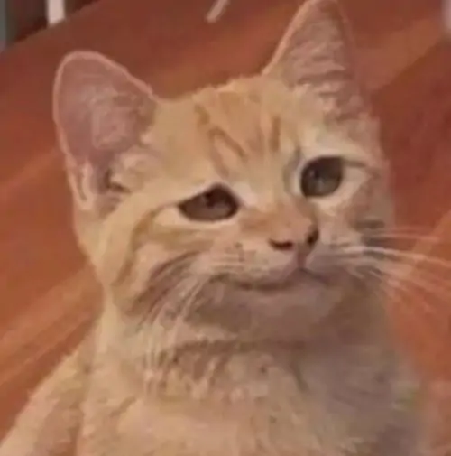 89 88