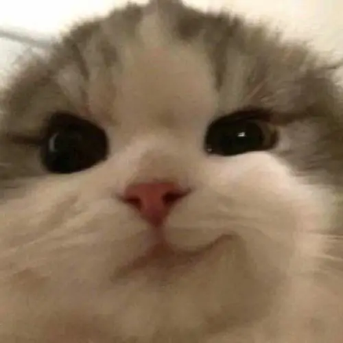 67 66