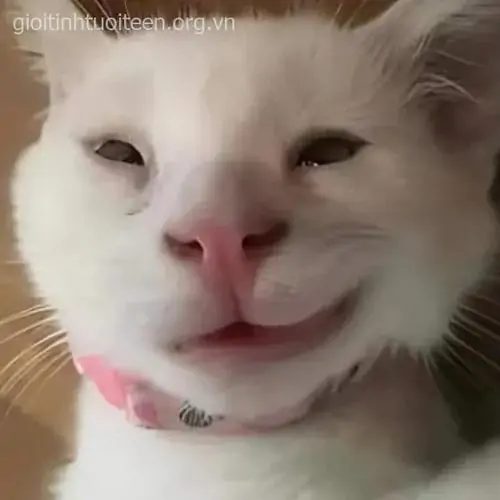 75 74