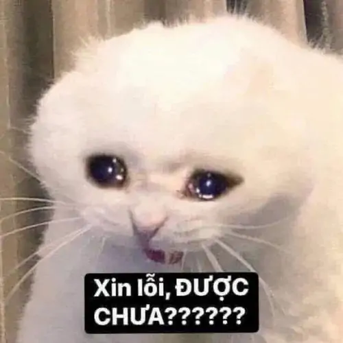 99 98