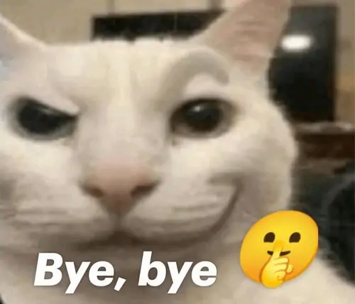 54 53