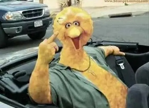 96 95