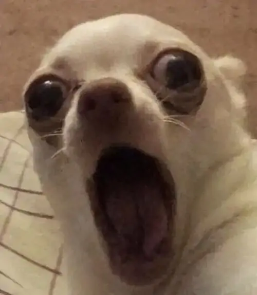 96 95