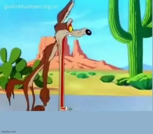 68 67