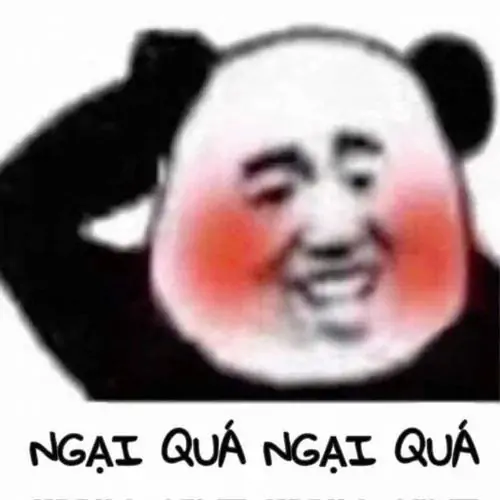 48 47