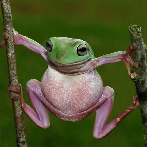 37 36