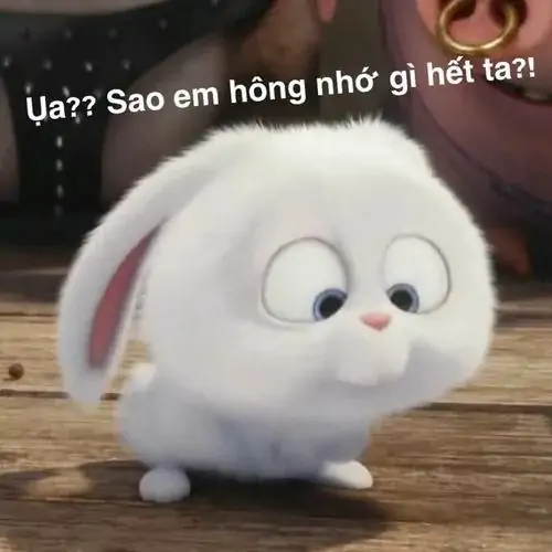 41 40