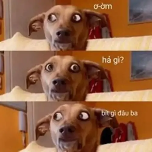 32 Meme né trách nhiệm nhân vật áo sơ mi trắng cúi đầu trước bảng nhắc việc, mắt lảng đi như chưa từng thấy hạn chót