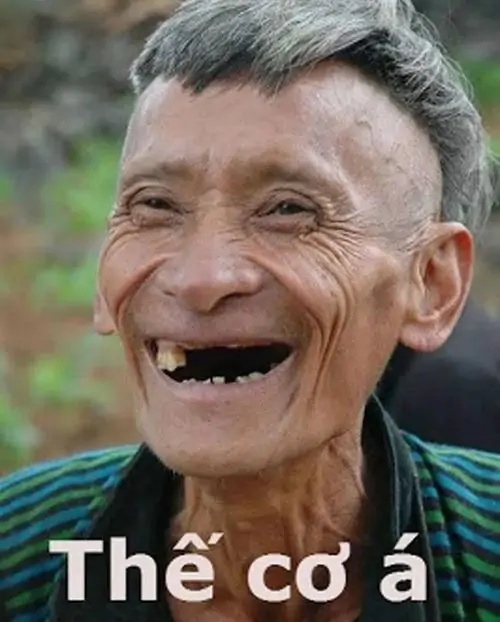 46 45