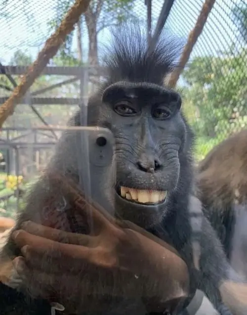38 37