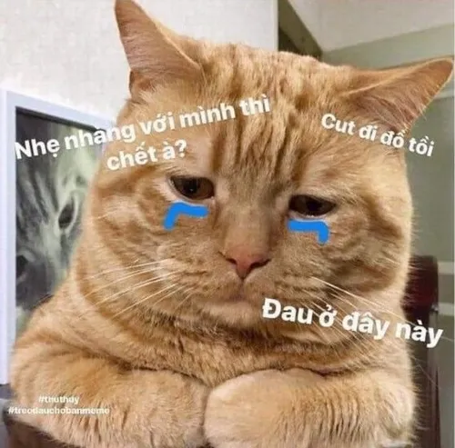 45 44