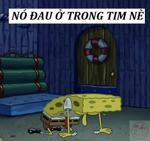 53 52