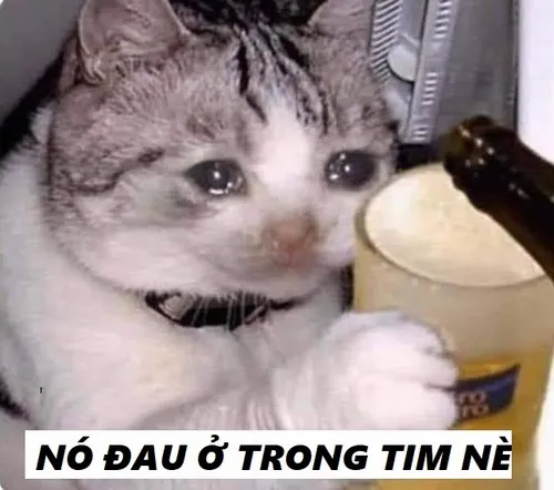 55 54
