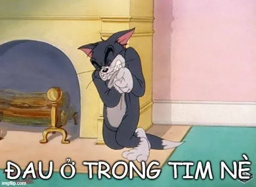 57 56