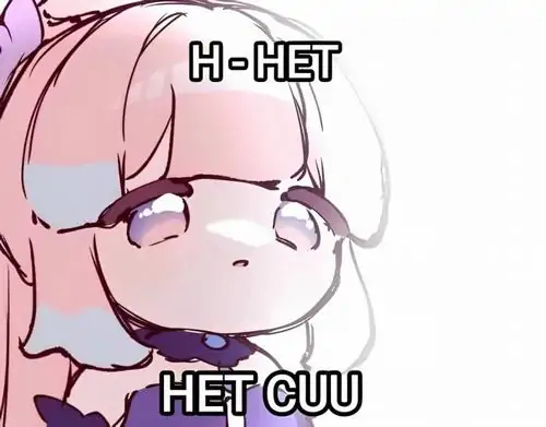 54 53