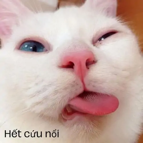 60 59