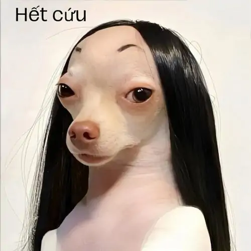 40 Meme cạn lời dùng phong cách truyện tranh với nhân vật áo sọc trợn mắt, dòng chữ ngắn và viền khung dày tạo bất lực