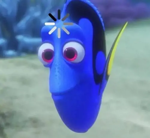 53 52