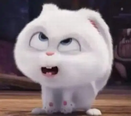 61 60