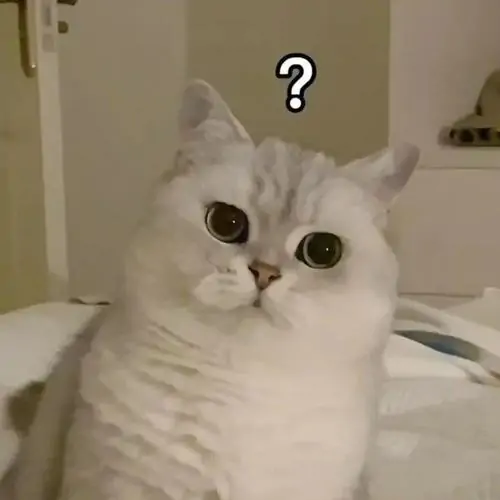 63 62