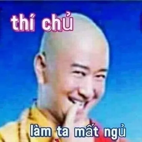 86 85