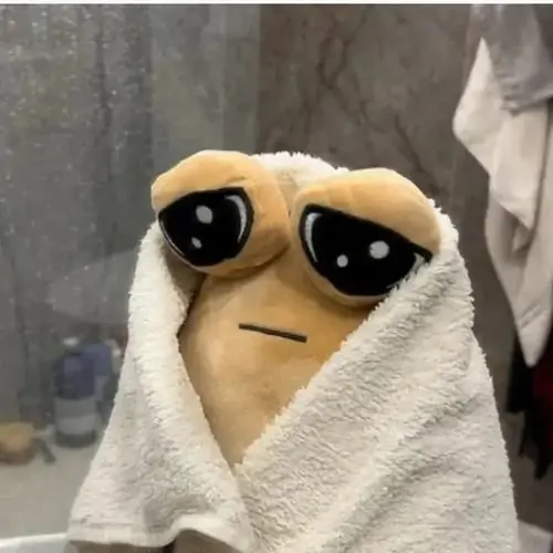 86 85