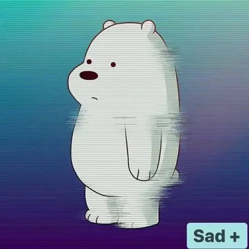 54 53