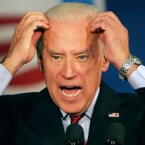 18 Meme bối rối về chú mèo con màu xám đưa hai chân trước ôm lấy đầu với đôi mắt mở to tròn, gợi cảnh chú thú cưng vừa làm đổ vỡ đồ đạc.