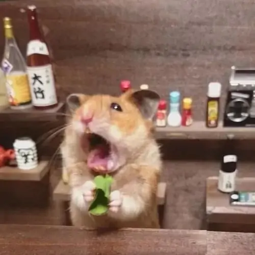 54 53