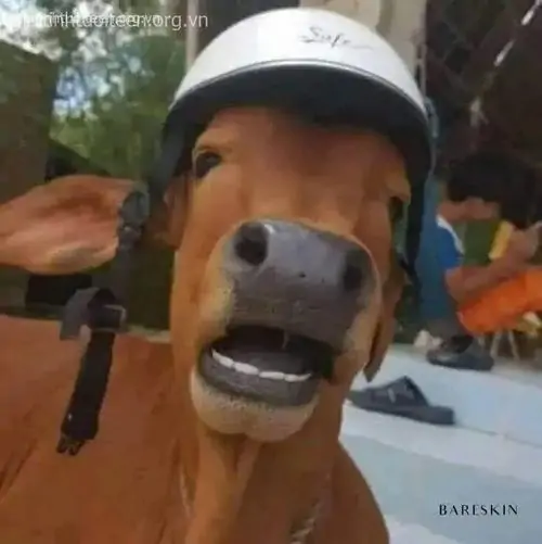 52 51