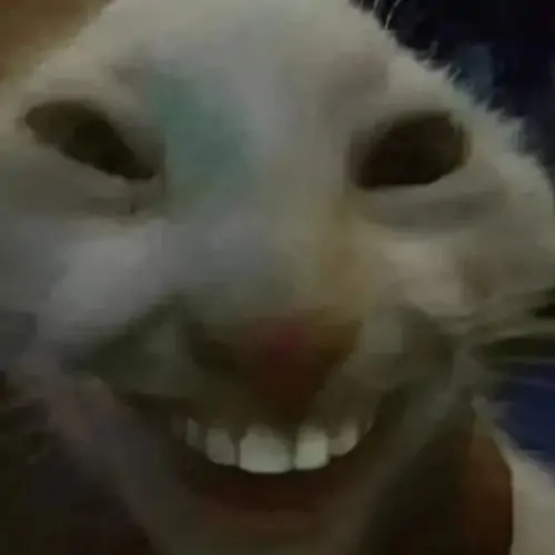 57 56