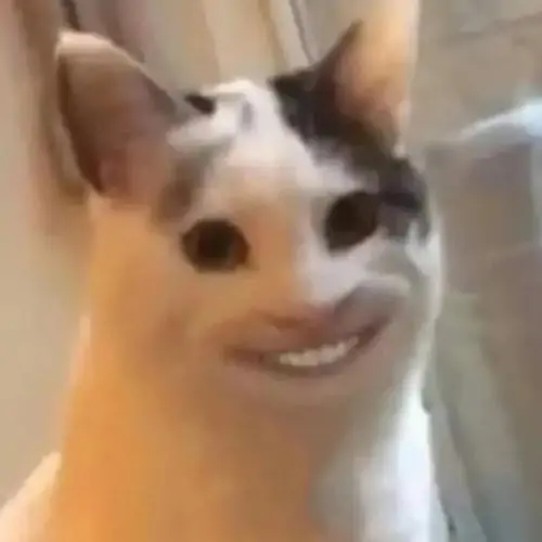 75 74