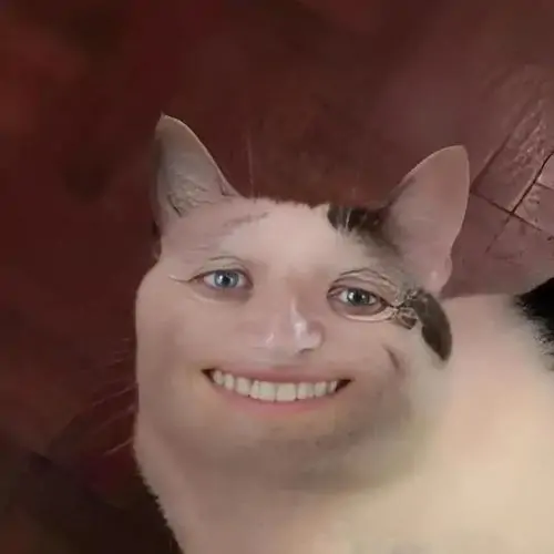 77 76
